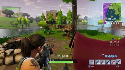 Fortnite Battle Royale - My first Win!!!