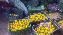 संतरे से भरा ट्रक सरिए से भरे ट्रक से टकराया, लोग थैलियों में ले गए संतरे