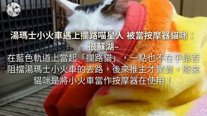 CollectionVideo-petmao_curation-copy3-PetsMaoParser-2020/01/22-09:30