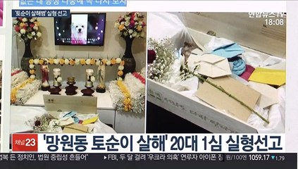 '토순이' 살해범 징역 8개월…"범행수법 잔혹"