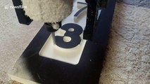 Computer controlled machine carves numbers into plaque in satisfying manner