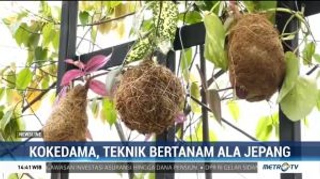 Kokedama, Teknik Bertanam Sekaligus Percantik Pekarangan