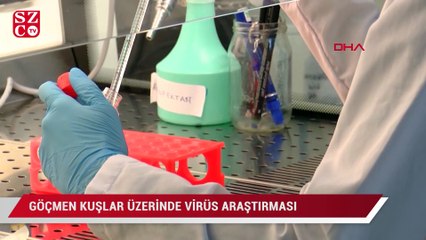 İstanbul'dan geçen göçmen kuşlar üzerinde virüs araştırması