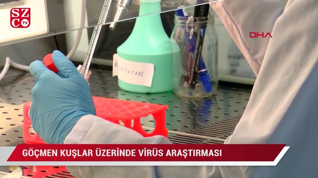 İstanbul'dan geçen göçmen kuşlar üzerinde virüs araştırması