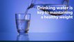 Healthy Weight Week _ Wellness Wednesday _ Health Benefits Of Drinking Water _ Jam Jam Group