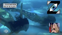 [Zap Télé] Ramassons les plastiques pour sauver les sirènes ! (22/01/20)