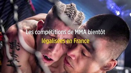 Les compétitions de MMA bientôt légalisées en France