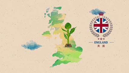 #ATOMY #艾多美_洋薊膠囊