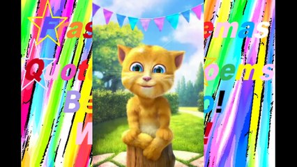 Bom dia engraçado: Hoje é um dia muito especial! [Mensagem] [Frases e Poemas]