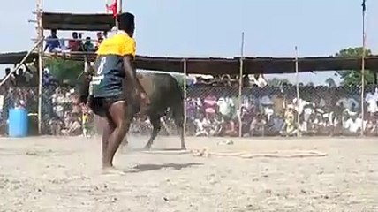 VID-20191121-WA0049