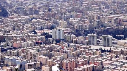 Yaban hayvanları için doğaya yem bırakıldı