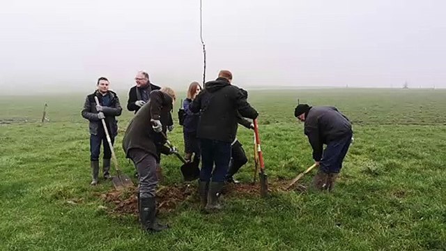 Des arbres plantés dans la prairie d'un agriculteur à Mont-Saint-Aubert