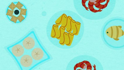 Happy Chinese New Year 2020