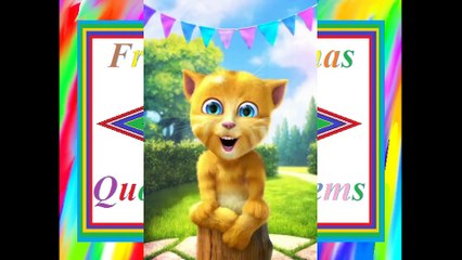 Boa tarde engraçado: Hoje de manhã, fui na zona, já não estava mais aguentando! [Mensagem] [Frases e Poemas]