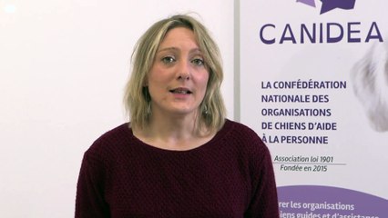 CMUE _ Canidea - converted with Clipchamp