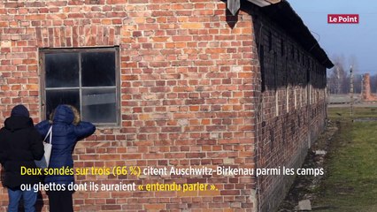 Seconde Guerre mondiale : un Français sur six n'a jamais entendu parler de la Shoah