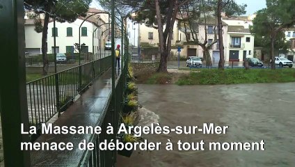 Tempête "Gloria": l'eau monte dans les Pyrénées-Orientales et l'Aude