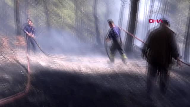 Muğla seydikemer'de orman yangını büyümeden söndürüldü