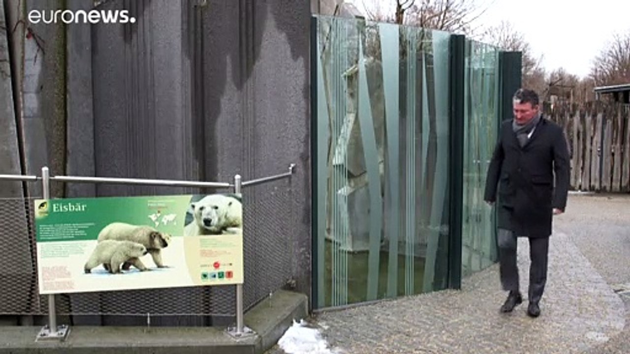 Erste schritte ins bärenleben