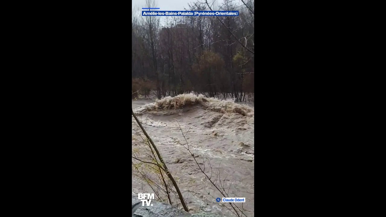 Tempête Gloria: les images du "Tech" en crue à Amélie-les-Bains-Palalda, dans les Pyrénées-Orientales
