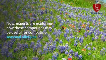 these-7-foods-might-help-alleviate-seasonal-allergy-symptoms