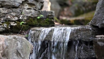 MUSIQUE RELAXANTE, DOUCE, BRUITS NATURE. / ZEN.RELAXING, SWEET MUSIC, NATURE NOISES, ZEN.
