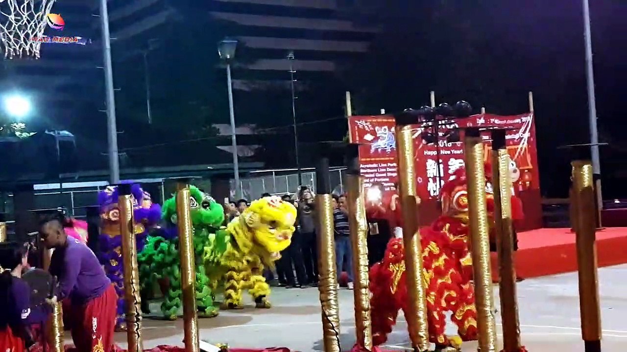 Danse du lion du Nouvel An chinois à la célébration du Nouvel An chinois de la Taman Desa Residence Association, Kuala Lumpur. (Chinese New Year Lion Dance at Taman Desa Residence Association CNY gathering)