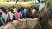 Struggling cow saved from drowning in well in southern India