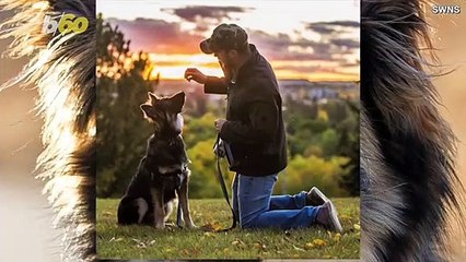 Dog with Facial Deformity Finds New Loving Home