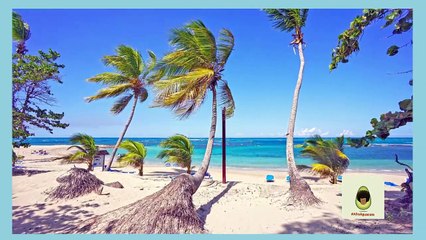 Miguel Alexander Pérez Pérez y hermosuras turísticas de RD