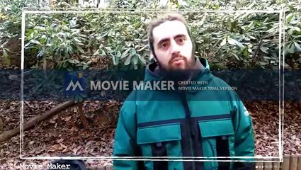 Social Media Ins Guineueta