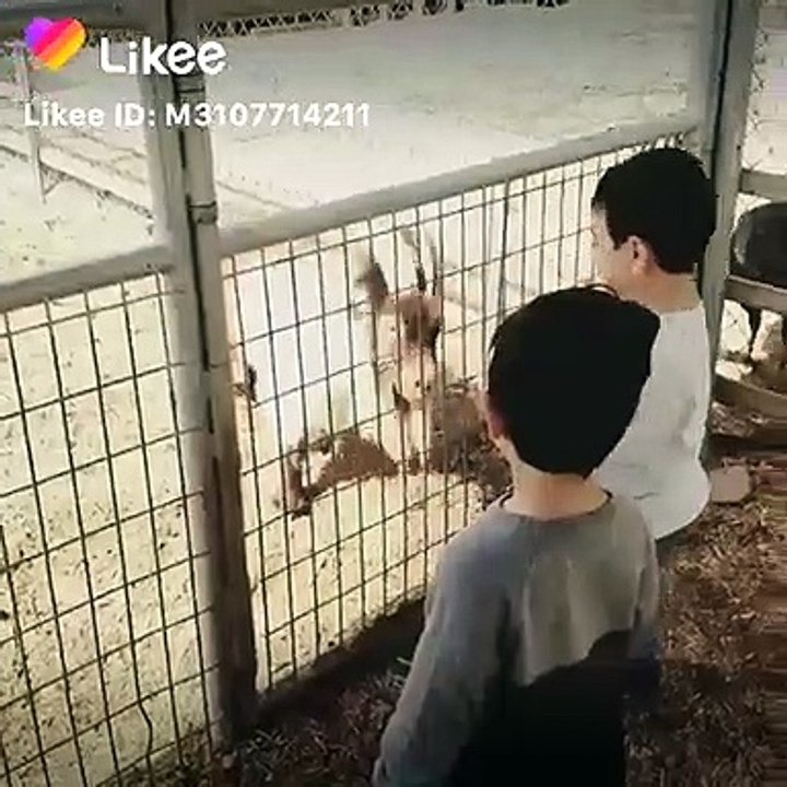 Funny