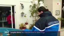 Tempête Gloria : les Pyrénées-Orientales et l'Aude en alerte