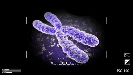 Columnist gets fired for stating scientific fact!