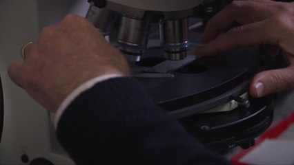 La Fundación BBVA premia a Michael Hall y David Sabatini por descubrir el mecanismo que regula el crecimiento celular