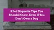 3 Pet Etiquette Tips You Should Know, Even If You Don't Own a Dog