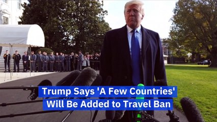 Trump Says 'A Few Countries' Will Be Added to Travel Ban