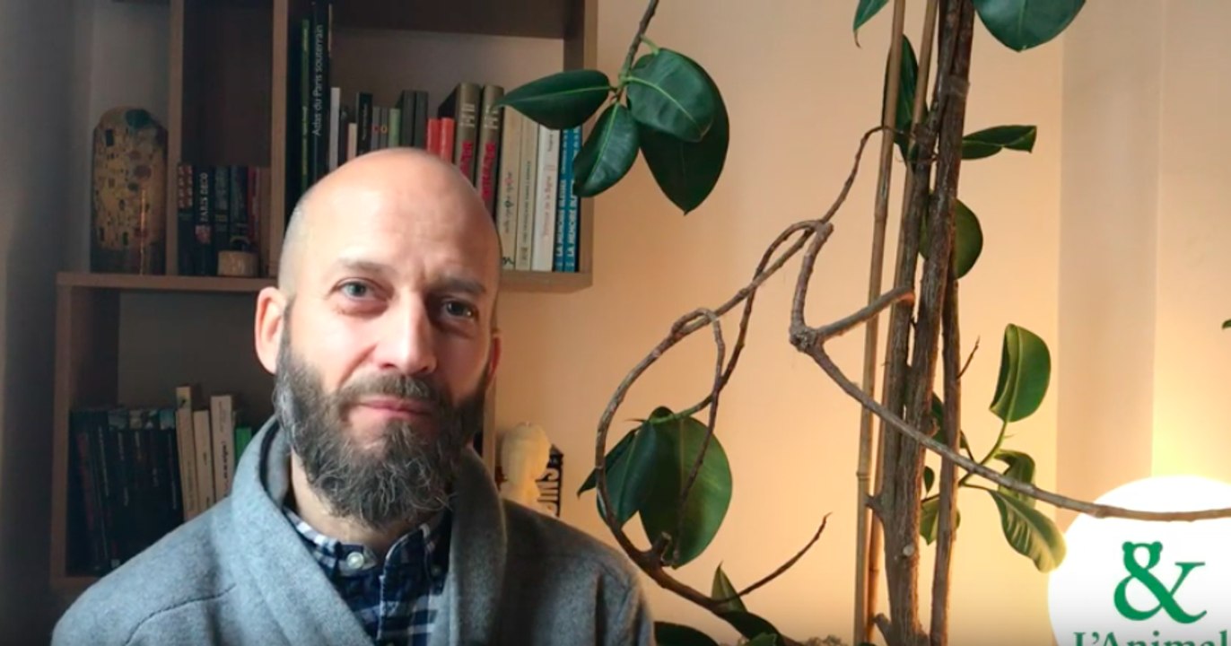 Interview 4 d'Olivier Piazza : Les fourmis, les pros du boulot !