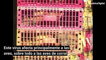 El nuevo coronavirus y las epidemias virales que han surgido en China