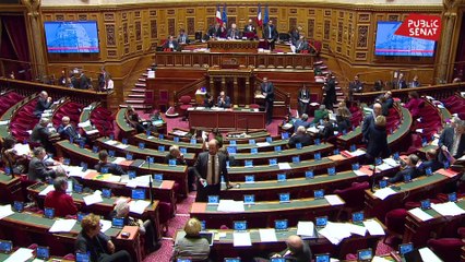 Le Sénat adopte l'article sur la PMA pour toutes