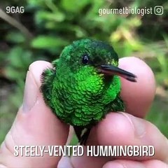 VID-20180522-WA0002