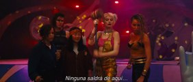 AVES DE PRESA - Una Harley Quinn 15