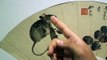 Year of the Rat: Chinese paintings pair rodents with fruits for fertility
