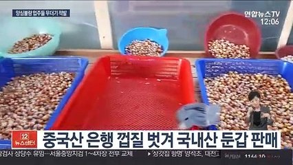 Скачать видео: 중국산을 국내산으로…설 대목 노린 '양심불량' 적발