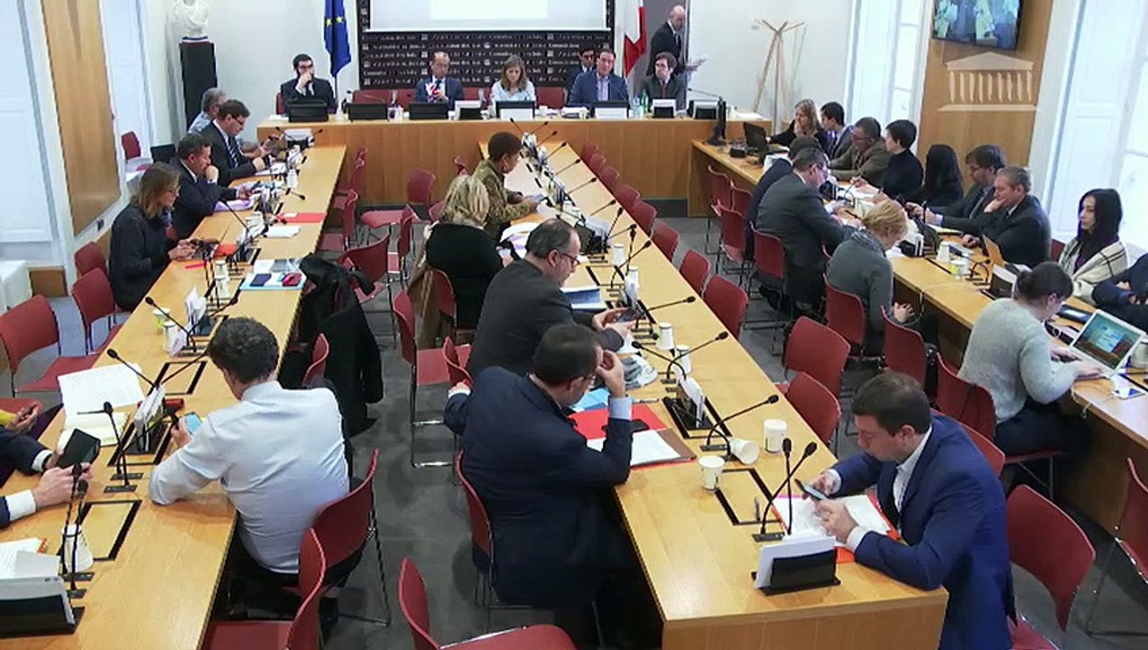 Commission des lois : Propositions de lois diverses ; Création d’une mission d’information sur le régime juridique des baux ruraux - Mercredi 22 janvier 2020