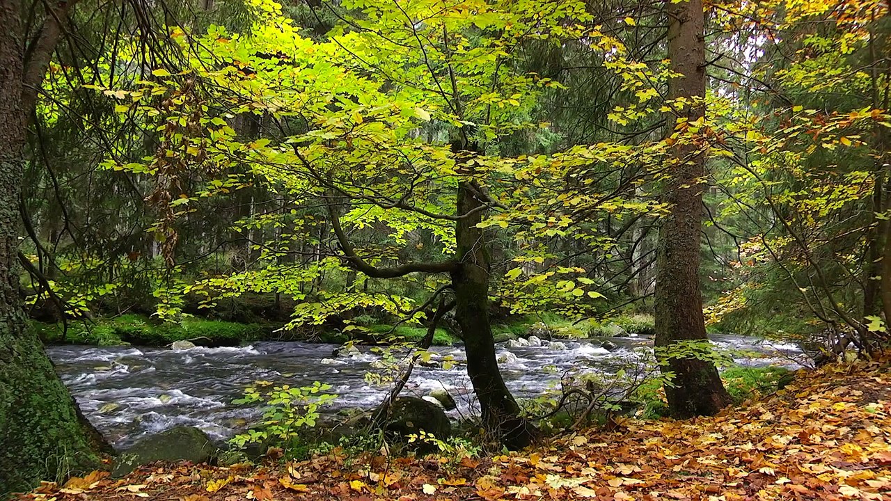 Das Riesengebirge Film