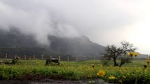 ROAMING AROUND MALSHEJ GHAT