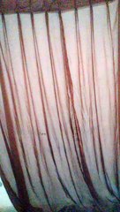 Choli kay pechay kya hay choliu kay pechay