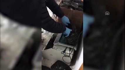 Evinde yaklaşık 24 kilo esrar ele geçirilen zanlı tutuklandı