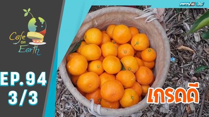 Café On Earth | ส้ม | 25 มกราคม 63 (3/3)